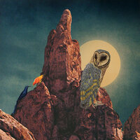 PERCH - Ben Beal