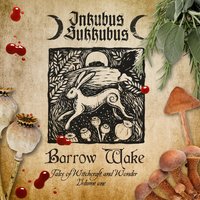 Death and the Virgin - Inkubus Sukkubus