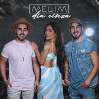 Dia Cinza - Melim