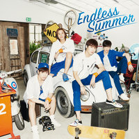 Endless Summer - N.Flying