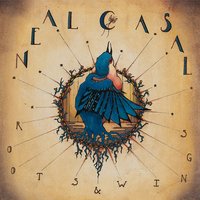 Signals Fading - Neal Casal