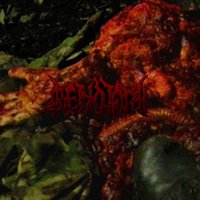 Source of Suspicions - Cenotaph