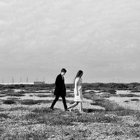 Motionless - Alpines