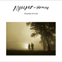 Es redzēju - Ainars Mielavs, Pārcēlāji