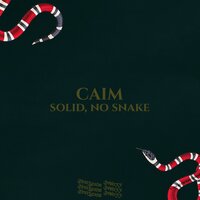 SOLID, NO SNAKE! - Caim