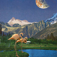 Terrapin - Ben Beal