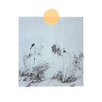 Benji - Trace Mountains