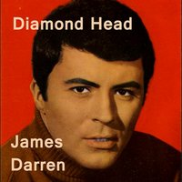 Pin a Medal on Joey - James Darren