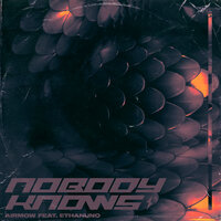 Nobody Knows - Airmow, EthanUno, Izaya