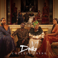Couleur ébène - Driks
