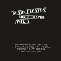 Rust Belt Fields - Slaid Cleaves