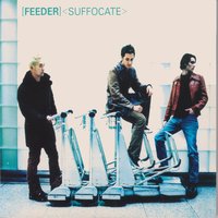 Cockroach - Feeder
