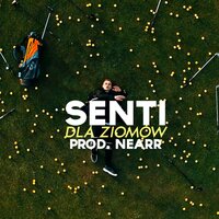 dla ziomów - Senti