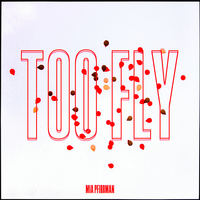 Too Fly - Mia Pfirrman