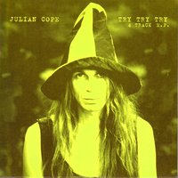 Try Try Try - Julian Cope