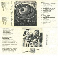 Sunny Skies - The String Cheese Incident