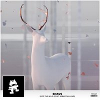 Into the Wild - Snavs