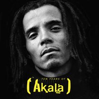 Roll Wid Us - Akala