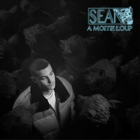 à moitié loup - Sean