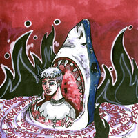Sharks - TYM