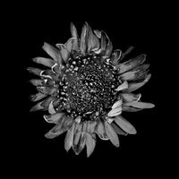 Heretics and Killers - Protest The Hero