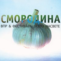 Время вода - Рома ВПР, В.П.Р. и фестиваль всего на свете