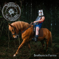 Aces High - Steve 'n' Seagulls