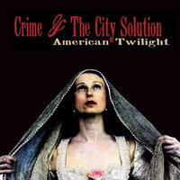 Crime & The City Solution