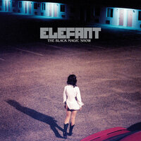 Elefant