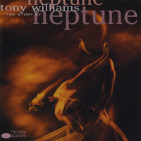 Blackbird - Tony Williams