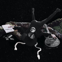 sugarcane - FLØRE