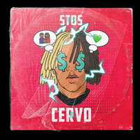 Cervo - STOS