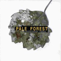 Asylum Pyre - Pale Forest