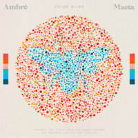 Color Blind - Ambre