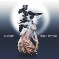 BLACKBIRD - Jackel, 77cousins