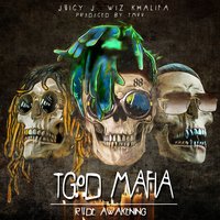 Luxury Flow - Wiz Khalifa, Juicy J, TM88