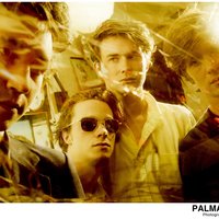 Palma Violets