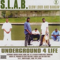Slab Shotz - Trae Tha Truth, Dre, Pee Wee