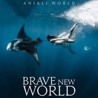 Nobody - Anjali World, Tyga, Sage The Gemini