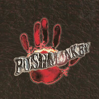 No Dumb Wrong - Pushmonkey