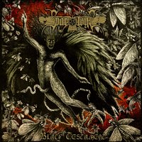 Revelation in the Waters - Svartsyn
