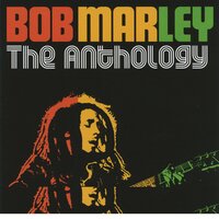 Fussin' And Fightin' - Bob Marley