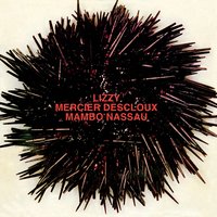 Room Mate - Lizzy Mercier Descloux