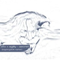 secret - d1v