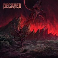 Decayer