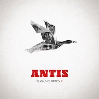 Žaislas - Antis