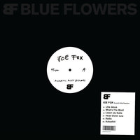 Radio - Joe Fox