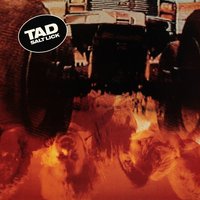 Axe to Grind - Tad