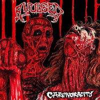 Cradle of Bones - Avulsed