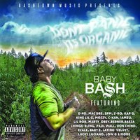 Light Up Light Up - Baby Bash, Berner, Z-Ro
